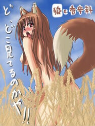 1girls animal_ears blush blushing blushing_at_viewer blushing_profusely brown_hair completely_nude completely_nude_female embarrassed_nude_female enf holo long_hair looking_at_viewer medium_breasts nude nude_female nudist outdoors outside red_eyes shouseki_(pixiv75889) spice_and_wolf tail talking_to_viewer translated wheat wolf_ears