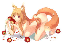 1girls animal_ears barefoot blush brown_hair cute_fang cuteg female flower holo long_hair nude red_eyes small_breasts solo spice_and_wolf tail wolf_ears