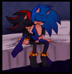 shadow the hedgehog from sonic (series)