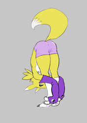 apricott digimon digimon_tamers fur furry renamon tail yoga_pants