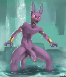 beerus from dragon ball by sunhuiz