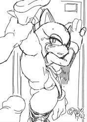 against_wall blaze_the_cat leg_grab leg_lift leg_up penis pussy sonic_(series) sweat tojyo