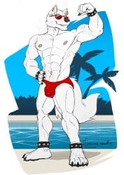 1boy 2025 4_toes 5_fingers abs ankle_band anthro armpit_tuft artist_name barefoot biceps biped black_claws broad_shoulders bulge calf_muscles canid canine canis cel_shading cheek_tuft claws clothed clothing day detailed_bulge ear_piercing ear_ring eyewear facial_tuft feet finger_claws fingers fist flexing flexing_bicep fluffy fluffy_tail forearm_muscles fur gold_ear_piercing gold_ear_ring gold_navel_piercing grey_nose grey_pawpads grimsvault hand_on_hip looking_at_viewer male male_only mammal multiple_ear_piercings multiple_ear_ring muscles muscular muscular_anthro muscular_male narrowed_eyes navel navel_piercing navel_ring neck_tuft nipples outside palm_tree pawpads paws pecs piercing pink_nipples plant plantigrade poolside pose presenting quads ring_piercing roman_numeral serratus shaded signature sky smile snout solo speedo speedo_only standing stocky studded_ankleband studded_wristband studs sunglasses swimming_pool swimwear tail text thick_limbs tight_clothing toe_claws toes toothy_smile topless tree tuft veiny_arms white_body white_fur wolf wristband