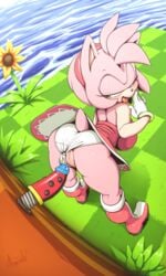 1girls 2019 amy_rose animal_ears anthro anthro_only anthrofied argento ass bent_over big_ass big_breasts big_butt black_nose boots bracelets breasts butt clothing dat_ass dildo dildo_with_face dress eulipotyphlan eyelashes female female_only flower footwear furry furry_only gloves grass green_eyes green_hill_zone hair hairband half-closed_eyes hedgehog hi_res innie_pussy lingerie mammal open_mouth outdoors outside panties panties_aside peach_pussy pink_fur pink_hair pink_tail plant plump_labia pussy sega sex_toy shoes signature solo sonic_(series) sonic_team sunflower tail thick thick_ass thick_thighs tongue tongue_out underwear underwear_aside vagina video_games white_gloves white_panties white_underwear wide_hips