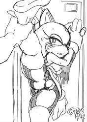 against_wall blaze_the_cat leg_grab leg_lift leg_up pussy sonic_(series) sweat tojyo