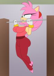 Sonic (Series) Rule 34 Image