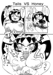 honey the cat from sega by michiyoshi