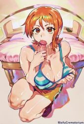nami (one piece) from one piece by waifucrematorium