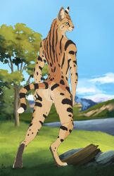 2025 absurd_res anthro brown_body brown_fur felid feline female fur genitals grass green_eyes hi_res hill kalshan_(purrma) lake mammal plant pussy rock serval skullsbesan sky solo tree vulva