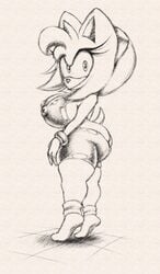 amy rose from sega by angelauxes