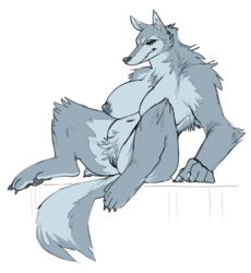 anthro big_breasts female morbi sitting solo_focus wolf