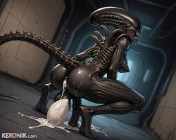 1futa ai_generated alien alien_(franchise) anal_object_insertion ass ass_focus back_view balls big_nipples black_body black_breasts black_nipples black_penis black_skin breasts darkness dickgirl egg_laying from_behind futa_only futanari horror horse_penis huge_ass huge_cock huge_testicles intersex kexonik large_insertion laying_egg leaning_back medium_breasts monster night penis puffy_nipples sagging_breasts scrotum solo squatting tail testicles xenomorph