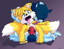 Sonic (Series) Rule 34 Image