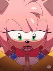 amy rose from sega by d-art