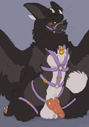 1boy balls blush bondage bound collar dragon fable_(symrea) feathered_wings feathers genitals grey_body harness hi_res knot male male_focus male_only mythological_creature mythological_scalie mythology penis scalie solo solo_focus symrea wings yellow_eyes