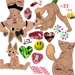 big_butt black_eyes brown_dog canine cuntboy emoji fingering furry furry_oc gore heart heart_(organ) intersex meat multiple_views naked original_character pickle pink_pussy pussy self_harm self_harm_scars smiley_face