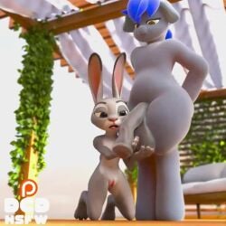 3d 3d_animation animated background_music balls big_penis cock_worship dcd female furry furry_only grey_body horsecock judy_hopps magicalmysticva moaning moaning_in_pleasure music my_little_pony oc penis sound tagme tongue_out vagina video voice_acted zootopia