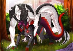 2019 5_fingers amur anthro anthro_on_anthro areola black_fur breasts canid canine day detailed_background female forest fur grass hybrid male mammal nipples open_mouth outside red_eyes straight teeth tongue tree white_fur