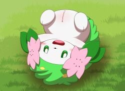 anus blush female female_feral feral generation_4_pokemon genitals green_body green_eyes heart_eyes heart_symbol hi_res land_forme_shaymin legendary_pokemon minami_(artist) nintendo pokemon pokemon_(species) pussy shaymin solo upside-down white_body