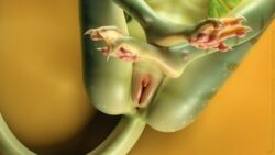 3d 4_toes adreea anthro anus claws clitoris female foot_focus green_hair green_skin hair lizard nude pawpads pussy reptile scalie solo tchaikovsky2 toe_claws toes webbed_feet