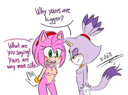 amy_rose blaze_the_cat breasts dialogue female furry nino5571 ninotrash nude pussy sega sonic_(series)