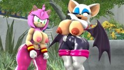 3d 3d_(artwork) amy_rose anthro areola bat duo erect_nipples female hedgehog huge_breasts nackey nipples rouge_the_bat sonic_(series)