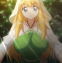 anime anime_screencap breasts clothed_female elf_female female hat huge_breasts solo_female tiffania_westwood zero_no_tsukaima