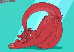2025 4_toes 5_fingers anthro anus artist_name ass ass_up barely_visible_anus biped blep blue_background butt_grab canid canine canis claws countershade_butt countershade_ears countershade_fur countershade_legs countershade_neck countershade_tail countershade_thighs countershade_torso countershading dated digital_drawing_(artwork) digital_media_(artwork) dragon eyebrows eyelashes facial_tuft feet feet_together female finger_claws fingers flat_colors flesh_fang flexible fur furred_dragon furred_scalie genitals green_eyes hair hand_on_butt hand_on_own_butt head_between_legs hybrid inner_ear_fluff looking_at_self lying mammal mouth_closed multicolored_body multicolored_fur mythological_creature mythological_scalie mythology narrowed_eyes nude on_back pawpads paws pink_pawpads pink_tongue plantigrade plantigrade_pawpads pointy_ears prick_ears pupils pussy red_body red_countershading red_fur red_hair scalie short_hair side_view simple_background slit_pupils snout soles solo tail tapering_tail terra_(terrathewizard) terrathewizard text toe_claws toes tongue tongue_out tuft two_tone_body two_tone_fur underpaw vulva wingless_dragon wolf