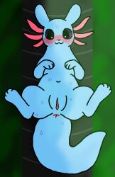 :3 anus belly blue_body blush blushing_profusely bodily_fluids feet female feral frill_(anatomy) genitals green_water hindpaw in_heat light light_beam navel paws pipe presenting presenting_anus presenting_vulva purple_eyes rain_world raised_paw rivulet_(rain_world) semi-anthro shaded shaded_background slugcat snout solo spread_legs spreading sunbeam sunlight sweat sweatdrop tail videocult vulva zlite
