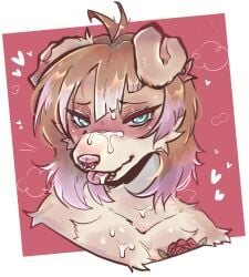 anthro blush bodily_fluids brown_hair canid canine cum cum_on_chest cum_on_face ears_down facial_piercing flower fur genital_fluids green_eyes h0t-garbage hair headshot_portrait heart_symbol hi_res highlights_(coloring) lip_piercing looking_at_viewer male mammal multicolored_body multicolored_fur nose_piecing piercing pink_highlights pivoted_ears plant portrait rose_(flower) shaded signature simple_background solo steam tan_body tan_fur tongue tongue_out white_body white_fur