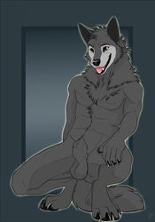 2019 5_fingers abs animal_genitalia anthro balls biceps black_nose brown_eyes canid canine canis chest_tuft claws crouching fangs fully_sheathed fur grey_fur grey_hair hair hi_res male male_only mammal muscular muscular_male nude open_mouth patrikthedog paws pecs pinup pose sheath simple_background smile solo teeth tongue tongue_out tuft whiskers wolf