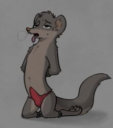 anthro bound breath briefs cheek_tuft chest_tuft claws clothed clothing cute_fangs erection fuel_(artist) grey_background half-closed_eyes hands_behind_back hands_tied head_tuft herpestid hi_res kneeling legs_tied male male_only mammal mongoose open_mouth pawpads precum precum_through_clothing simple_background solo spreader_bar sweat sweatdrop tenting terry_(a-signature) toe_claws tongue tongue_out topless tuft underwear wet wet_clothing