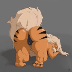 arcanine from nintendo