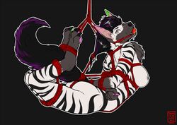 2019 asiri ball_gag bondage bound breasts drooling ear_piercing ear_ring female gag hyaenid looking_at_viewer mammal nipple_piercing nipples nude piercing rope rope_bondage rope_harness saliva simple_background solo striped_hyena tanutanuki