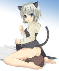 animal_ears ass barefoot blue_eyes blush bottomless cat_ears clothing dress dress_lift facesitting looking_back nekomimi no_panties original sanya_v_litvyak short_hair silver_hair sitting sitting_on_person small_breasts strike_witches tail yoshida_(pixiv) yoshida_(rodeo)