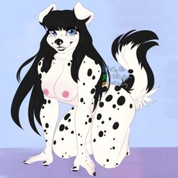 1:1 2018 5_fingers absurd_res anthro barely_visible_genitalia barely_visible_pussy blvejay breasts canid canine canis cheeky claws dalmatian detailed domestic_dog female grin hair hi_res long_hair looking_at_viewer mammal nipples nude pussy smile solo spotty