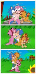 amy rose from sonic (series) by ninotrash