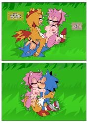 amy rose from sonic (series) by ninotrash