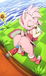 1girls 2019 5_fingers amy_rose animal_ears anthro anthrofied anus argento ass bent_over big_ass big_breasts big_butt black_nose boots bottomless bracelet bracelets breasts bubble_ass bubble_butt butt clothed clothing dat_ass dildo dildo_with_face dress eulipotyphlan eyelashes female female_only flower footwear fur gloves grass green_eyes green_hill_zone hair hairband half-closed_eyes handwear hedgehog hi_res humanoid_hands humanoid_pussy innie_pussy mammal multicolored_fur no_panties no_underwear open_mouth open_smile peach_pussy pink_fur pink_hair plant plump_labia presenting presenting_anus presenting_ass presenting_hindquarters presenting_pussy pussy red_dress sega sex_toy shoes signature smile socks solo solo_female sonic_(series) sonic_team sunflower tail tan_fur thick thick_ass thick_thighs tongue tongue_out vagina white_gloves wide_hips