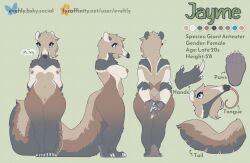 Anteater Rule 34 Image