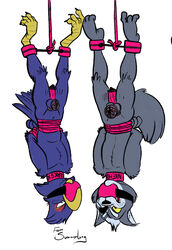 anthro avian ball_gag balls bird bondage bound canid canine canis chastity chastity_cage collar dildo duo falco_lombardi feet gag gagged gordian hands_behind_back male malesub mammal multiple_subs nintendo penis rope sex_toy star_fox suspension vibrator video_games wolf wolf_o'donnell