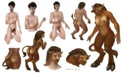 2016 3_fingers anthro ass balls beard black_hair blizzard_entertainment borsmenta bovid bovine breast_growth breasts brown_body brown_fur brown_hair facial_hair female fingers fur gender_transformation genitals growth hair hooves horn horn_growth human human_to_anthro kneeling male mammal mtf_transformation navel nipples nude penis pussy simple_background smile solo species_transformation standing tail tail_growth tauren transformation warcraft white_background