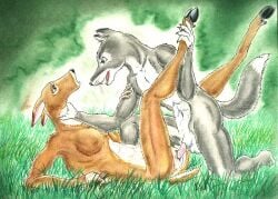 anthro ass balls breasts brown_body brown_fur canid canine canis darkwolfie deer duo eye_contact female female_penetrated forced fur genitals grass grey_body grey_fur hand_on_ankle hand_on_leg hand_on_throat looking_at_another lying male male/female male_dominating_female male_penetrating male_penetrating_female male_raping_female mammal new_world_deer nude on_back penetration penis plant predator/prey predator_penetrating_prey pussy questionable_consent rape scared sex vaginal_penetration vaginal_penetration white-tailed_deer white_body white_fur wolf