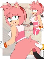 1boy 1girls ambiguous_consent amy_rose ass ass_grab black_fur english_text erect_penis from_behind green_eyes imminent_anal imminent_sex looking_back penis pink_fur red_fur shadow_the_hedgehog sonic_(series) sonic_riders sonic_the_hedgehog_(series) straight text vagina zunidont