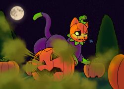 ass fart fart_fetish feline furry furry_only halloween long_tail no_humans pumkat pumpkin tail