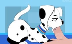 101_dalmatian_street 1boy 1boy1girl 1girls animated ass canine dalmatian dog dolly_(101_dalmatians) domestic_dog fellatio fellatio_from_feral female female_feral feral human human_on_feral human_penetrating interspecies male male_human/female_feral male_on_feral mammal oral penetration penis pocketpaws side_view sketch straight sucking sехual text watermark zoophilia