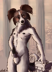 anthro canid canine canis domestic_dog ironwood looking_at_viewer male mammal nipples nude open_mouth penis solo