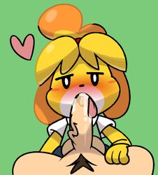 2019 animal_crossing anthro balls blush breasts canid canine canis clothed clothing cum cum_in_mouth cum_inside cum_on_tongue domestic_dog duo erection fellatio female first_person_view fur green_background hair half-closed_eyes heart human isabelle_(animal_crossing) looking_at_viewer male male_pov mammal mob_face nintendo open_mouth oral oral_penetration penetration penis pubes sex shih_tzu simple_background solo_focus straight tongue toy_dog video_games vilepluff yellow_fur