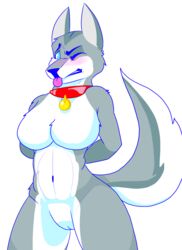 absurd_res alpha_channel anthro blue_eyes blush breasts canid canine canis collar embarrassed featureless_breasts female fur grey_fur hands_behind hi_res mammal one_eye_closed sheenufilms simple_background solo tongue tongue_out white_belly wide_hips wink wolf