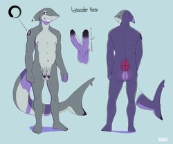 2017 animal_genitalia animal_penis anthro anthro_only ass balls big_tail blue_eyes carcharhinus diphallia diphallism erection fin fish flaccid foreskin furry head_fin hemipenes humanoid_penis lysander_hano male marine model model_sheet multi_penis nipples no_humans nude partially_retracted_foreskin penis requiem_shark retracted_foreskin serex serex_the_dragon shark simple_background smile solo standing tattoo uncut